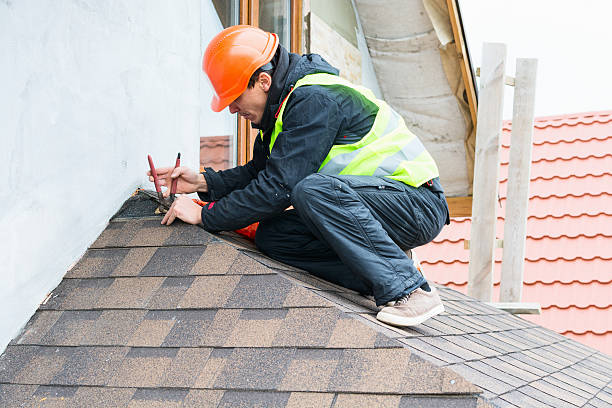 Best Roof Gutter Cleaning  in Eagleton Village, TN